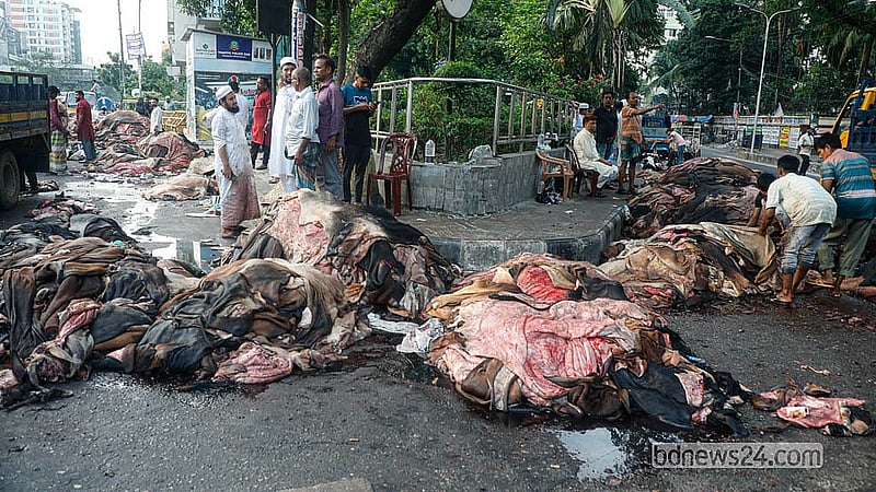 কোরবানির পশুর ভালো মানের বড় চামড়া ৮০০ টাকা ও ছোট গরুর চামড়া ৩০০ থেকে ৪০০ টাকা দরে কিনছেন ব্যাবসায়ীরা