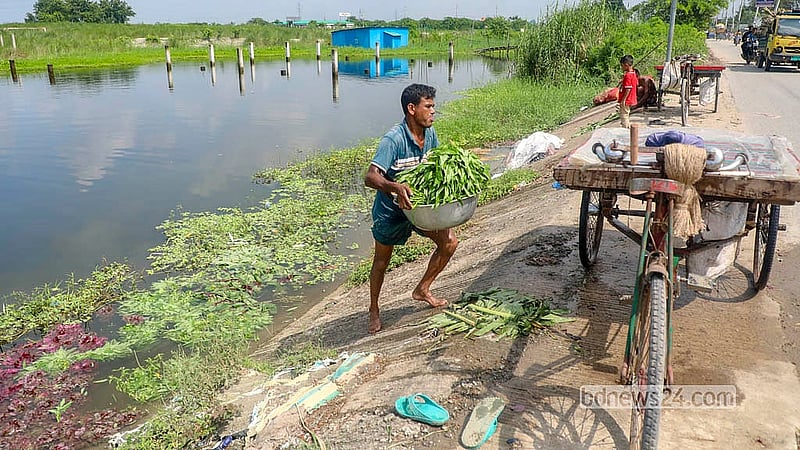 মাতুয়াইল বর্জ্য শোধন কেন্দ্র সংযুক্ত এ পানি যে নোংরা তা নিয়ে কোনো সংশয় নেই। এ পানি দিয়েই শাক ধুচ্ছেন ভ্রাম্যমাণ বিক্রেতারা