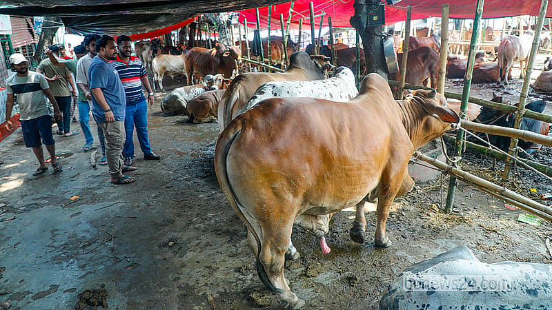ঢাকার পোস্তগোলা শ্মশানঘাট পশুর হাটে দু-চারজন ক্রেতার আনাগোনা আছে। তবে তারা মূলত আসছেন বাজার বোঝার জন্য