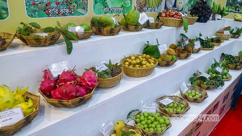 ঢাকার খামারবাড়িতে জাতীয় ফল মেলায় নানা রকম ফল নিয়ে হাজির হয়েছেন চাষি ও খামারিরা