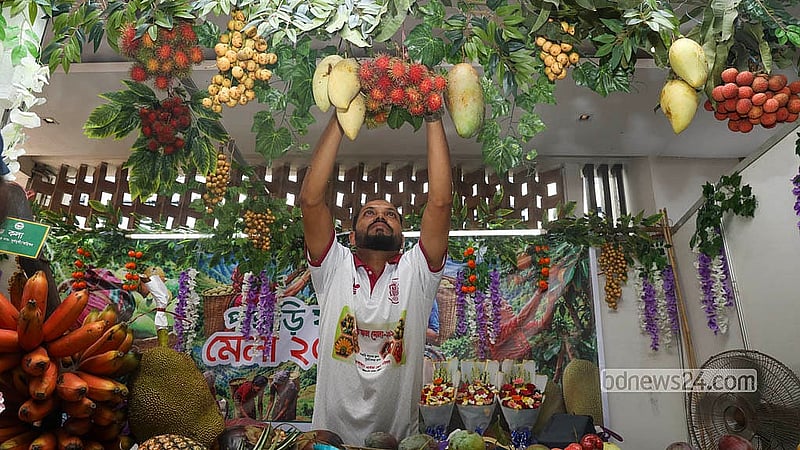 ঢাকার বেইলি রোডে শুরু হওয়া পাহাড়ি ফল মেলায় পণ্যের পসরা সাজাচ্ছেন এক বিক্রেতা। জুম চাষের আম, রাম্বুটান, কাঁঠাল ও লটকন কিনতে মেলায় ভিড় করছেন নগরবাসী