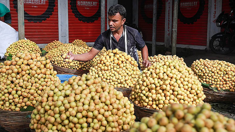 জাত ও আকারভেদে নরসিংদীর লটকনের পাইকারি বাজারে প্রতিমণ লটকনের দাম পড়ে ২ হাজার থেকে ৩ হাজার টাকা