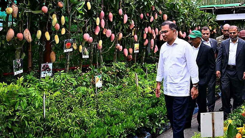 রাজধানীর শের-ই-বাংলা নগরে বৃহস্পতিবার বৃক্ষমেলা ঘুরে দেখেন প্রধানমন্ত্রী তারেক রহমান