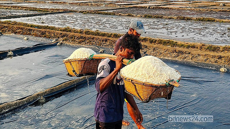 মৌসুম শেষ হওয়ার আগে মাঠজুড়ে চলছে লবণ সংগ্রহের ব্যস্ততা। এরই মধ্যে বৃষ্টির কারণে অনেক চাষি মাঠ ছেড়েছেন