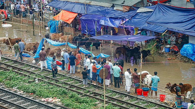 রাজধানীর শাহজাহানপুরের কোরবানির পশুর অস্থায়ী হাটে জলজট তৈরি হয়েছে