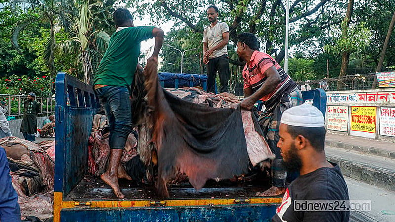 রাজধানীর সাইন্সল্যাব মোড়ে কোরবানির পশুর কাঁচা চামড়া সংগ্রহ শেষে ট্যানারিতে পাঠানোর জন্য ট্রাকে তোলা হচ্ছে