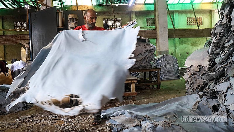 সাভারের চামড়া শিল্পনগরীতে প্রক্রিয়াজাত চামড়া গুছিয়ে রাখছেন এক শ্রমিক