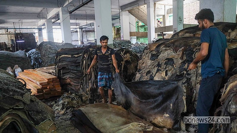 কোরবানির ঈদের পর সাভারের চামড়া শিল্পনগরীর ট্যানারিগুলোতে এসেছে প্রচুর কাঁচা চামড়া। লবণ মেখে রাখা চামড়াগুলো ধাপে ধাপে প্রস্তুত করার কাজ করছেন শ্রমিকরা
