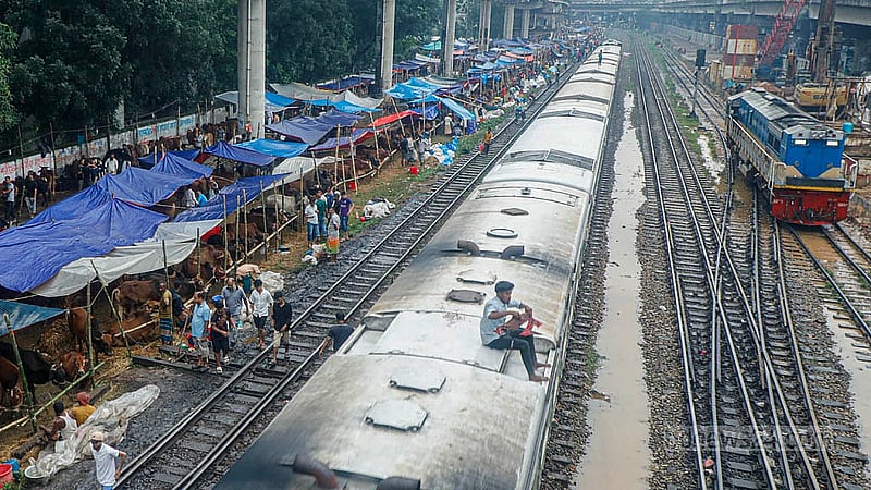 রাজধানীর শাহজাহানপুরে কোরবানির পশুর অস্থায়ী হাট বসানো হয়েছে রেল লাইনের পাশেই। অসতর্কতায় ঘটতে পারে দুর্ঘটনা