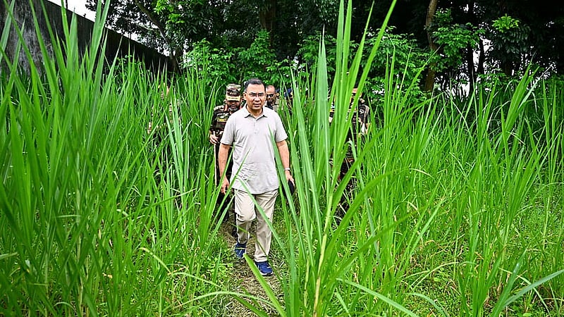 মানিকগঞ্জের সিংগাইরে মঙ্গলবার সেনাবাহিনীর গ্রীষ্মকালীন মহড়া পরিদর্শনের সময় ‘ফার্ম বেস’-এর বিভিন্ন অংশ ঘুরে দেখেন প্রধানমন্ত্রী তারেক রহমান