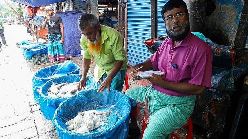 রাজধানীর কারওয়ান বাজারে ইলিশ সাজিয়ে ক্রেতার অপেক্ষায় বসে আছেন মাছ বিক্রেতা