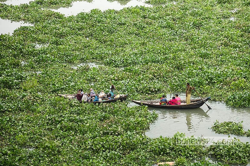 বর্ষা মৌসুমে প্রতি বছর নতুন পানি আসে বুড়িগঙ্গা নদীতে। ফুলেফেঁপে ওঠা নদীতে ভাসমান কচুরিপানা নৌ চলাচল ব্যাহত করছে