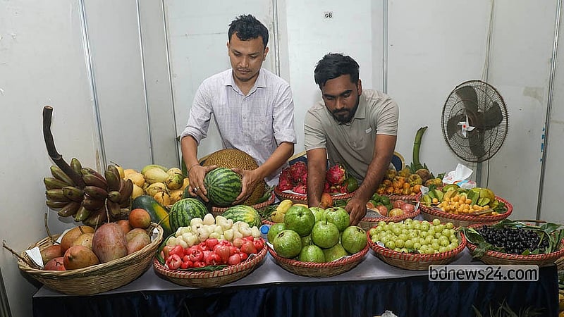 ঢাকার বেইলি রোডের পার্বত্য কমপ্লেক্সে আয়োজিত মেলায় থরে থরে সাজানো কাঁঠাল, ড্রাগন ফল, আমড়া, আমলকি, পেয়ারা, তরমুজ ও প্যাশন ফ্রুটসহ হরেক রকমের পাহাড়ি ফল