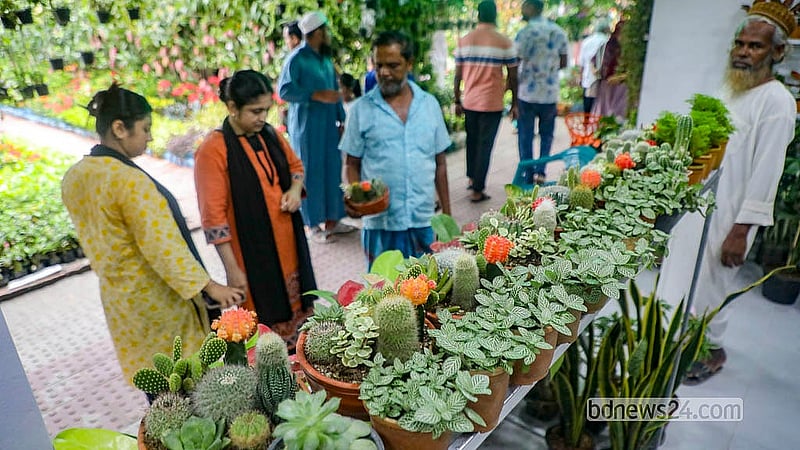 ঢাকার আগারগাঁওয়ে জাতীয় বৃক্ষমেলায় নানা জাতের ক্যাকটাসও পাওয়া যাচ্ছে, যেগুলো অনেকেই কেনেন ঘর সাজানোর জন্য