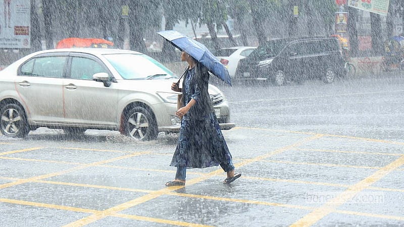 বৃষ্টিতে সঙ্গী ছাতা; ঢাকা বিশ্ববিদ্যালয় এলাকা থেকে তোলা