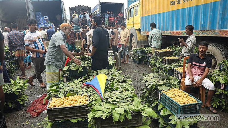 মৌসুমি ফল গাবে ভরেছে রাজধানীর বাদামতলী ফলের আড়ত। দেশের বিভিন্ন অঞ্চল থেকে আসা এই ফল কিনতে ভিড় করছেন ব্যবসায়ীরা