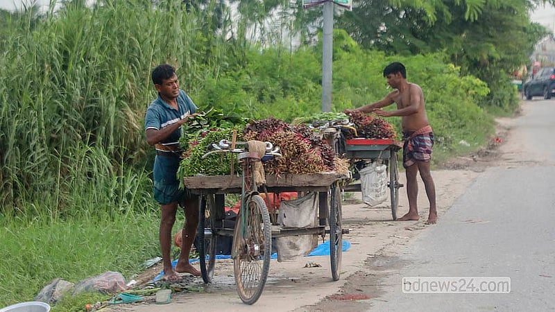 ঢাকার ডেমরার ধার্মিকপাড়ায় সড়কের পাশে নিচু জমিতে জমে থাকা পানিতে শাক ধুয়ে ভ্যানে তুলছেন বিক্রেতারা