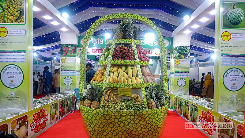 প্রতি বছরের মত এবারো জাতীয় ফল মেলা আয়োজন করেছ কৃষি সম্প্রসারণ অধিদপ্তর