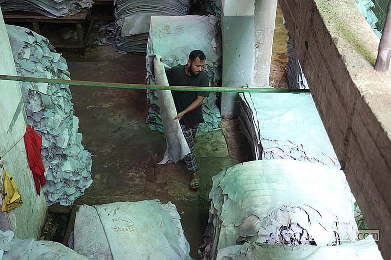 সাভারের চামড়া শিল্পনগরীতে প্রক্রিয়াজাত চামড়া গুছিয়ে রাখছেন এক শ্রমিক
