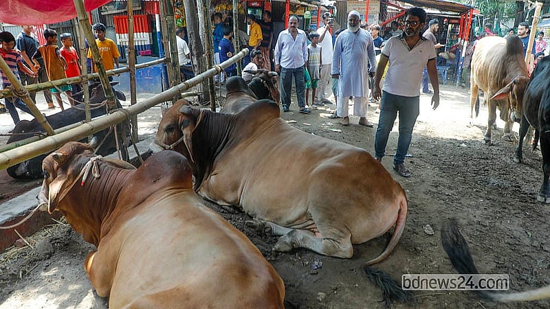 ঢাকার পোস্তগোলা শ্মশানঘাট পশুর হাটে দু-চারজন ক্রেতার আনাগোনা আছে। তবে তারা মূলত আসছেন বাজার বোঝার জন্য