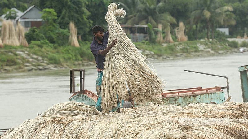 মুন্সীগঞ্জের দীঘিরপাড় হাটে মান অনুযায়ী প্রতি মণ পাট ২৮০০ থেকে ৩২০০ টাকায় বিক্রি হচ্ছে
