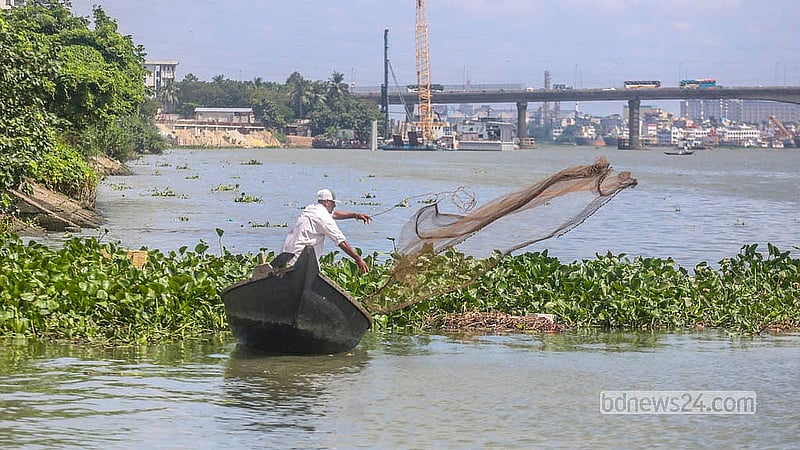 বুড়িগঙ্গা নদীতে সাকার ফিসের কারণে অতিষ্ঠ জেলেরা