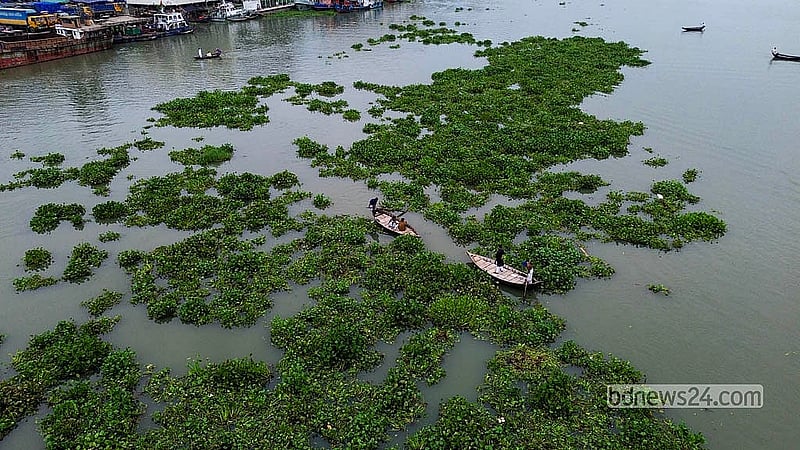 বর্ষা মৌসুমে প্রতি বছর নতুন পানি আসে বুড়িগঙ্গা নদীতে। ফুলেফেঁপে ওঠা নদীতে ভাসমান কচুরিপানা নৌ চলাচল ব্যাহত করছে