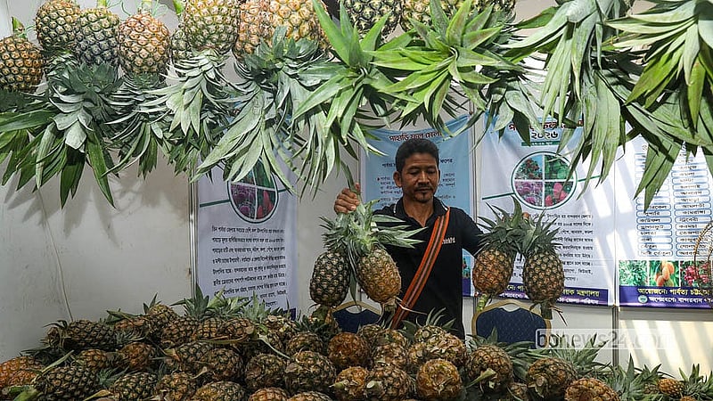 পার্বত্য কমপ্লেক্স প্রাঙ্গণে তিনদিনের পাহাড়ি ফল মেলার স্টলে থরে থরে সাজানো রাঙামাটি ও বান্দরবান থেকে আনা সুস্বাদু আনারস