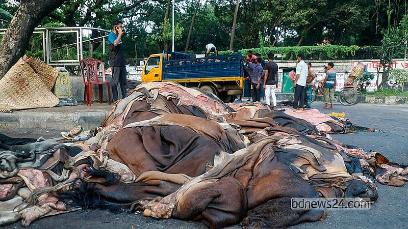 রাজধানীর সাইন্সল্যাব মোড় কোরবানির পশুর কাঁচা চামড়া বেচাকেনার জন্য ঢাকার অন্যতম অস্থায়ী মোকাম। ঈদের দিন ধানমন্ডি, লালমাটিয়া, মোহাম্মদপুর ও আশেপাশের এলাকার মৌসুমি ব্যবসায়ীরা চামড়া সংগ্রহ করে এখানে বসা আড়তদারদের কাছে বিক্রি করেন