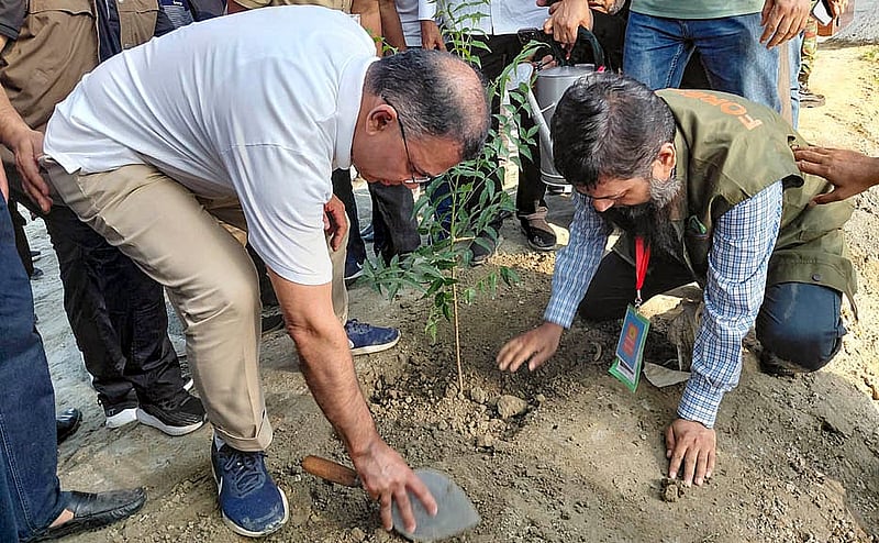 চাঁদপুর সদর উপজেলার বিশ্ব খাল পুনঃখনন কার্যক্রম উদ্বোধন শেষে নিম গাছের চারা রোপণ করেন প্রধানমন্ত্রী তারেক রহমান