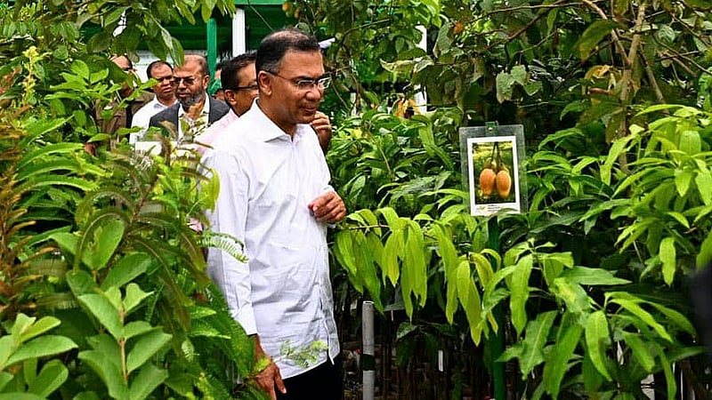 রাজধানীর শের-ই-বাংলা নগরে বৃহস্পতিবার বৃক্ষমেলা ঘুরে দেখেন প্রধানমন্ত্রী তারেক রহমান