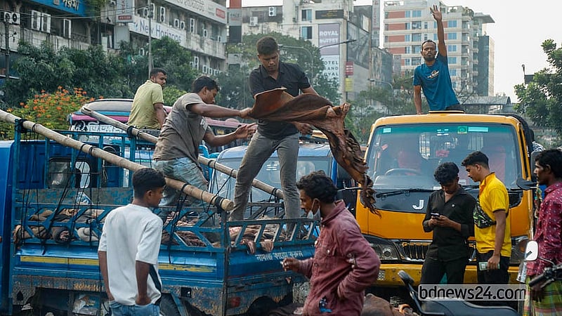 রাজধানীর সাইন্সল্যাব মোড়ে ঈদের দিন বিভিন্ন এলাকা থেকে আসা পশুর চামড়া নামাচ্ছেন শ্রমিকরা