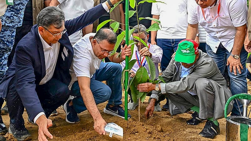 কক্সবাজারের চকরিয়ার মালুমঘাটের রিংভং এলাকায় গর্জনের চারা রোপণের মাধ্যমে দেশজুড়ে ‘পাঁচ বছরে ২৫ কোটি বৃক্ষরোপণ’ কর্মসূচি শনিবার উদ্বোধন করেন প্রধানমন্ত্রী তারেক রহমান