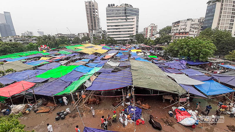 ঢাকায় হুটহাট বৃষ্টি হচ্ছে। এ অবস্থায় কোরবানির পশুর হাটে ছাউনির ব্যবস্থা করেছেন গরু ব্যবসায়ীরা। শুক্রবার তেজগাঁও হাট থেকে তোলা