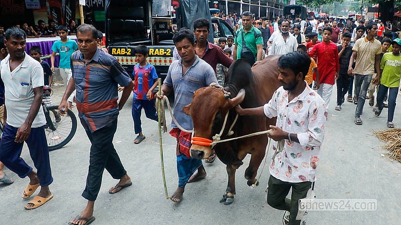 কোরবানির পশুর বাজার দেখতে এসে গরু পছন্দ হলে অনেকে কেনার কাজটিও সেরে ফেলছেন। শুক্রবার রাজধানীর তেজগাঁও কোরবানির পশুর হাট থেকে তোলা