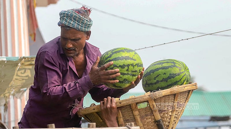 ঢাকার বাদামতলি ঘাট ফলের পাইকারি আড়ত থেকে তরমুজ কিনে ভ্যানে তুলছেন একজন। সিলেট থেকে আসা তরমুজের মান ও আকার ভালো হওয়ায় চাহিদা রয়েছে বেশ
