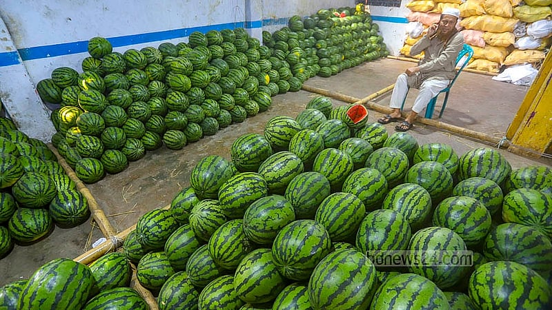 বাজারে উঠেছে গ্রীষ্মের রসালো ফল তরমুজ। ঢাকার বাদামতলি ঘাটে একশ তরমুজ বিক্রি হচ্ছে ২ হাজার থেকে ৩৫ হাজার টাকায়