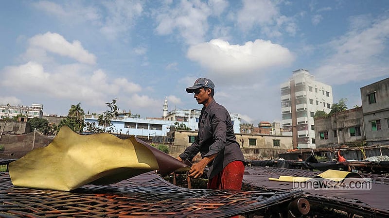 চামড়া রঙ করে শুকাতে দেওয়া হয়েছে হাজারীবাগের গজমহল খোলা মাঠে