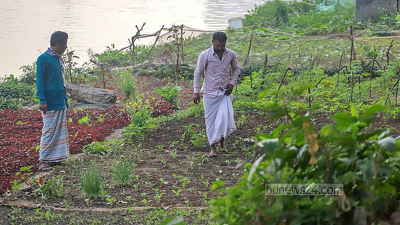 হাতিরঝিল লেক পাড়ে জমে থাকা ময়লা সরিয়ে সবজি ক্ষেত তৈরি করছে স্থানীয় কিছু মানুষ
