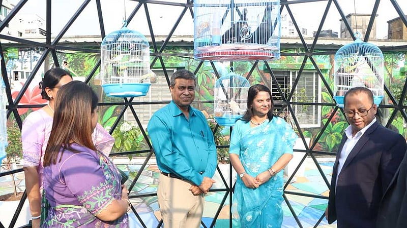 ঢাকা ডিসি কার্যালয়ে পাখিদের ‘আকাশ নীড়’