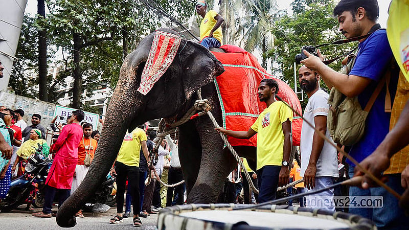 শ্রীকৃষ্ণের জন্মতিথিতে শোভাযাত্রায় হাতি ঘোড়া নিয়ে অংশ নেন সনাতন ধর্মাবলম্বীরা