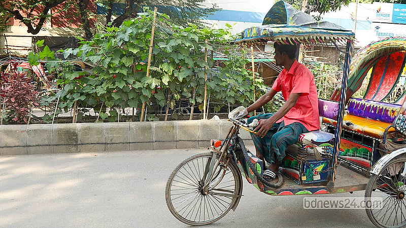 রাজধানীর তেজগাঁও এলাকা দিয়ে রিকশা চালিয়ে যাচ্ছেন একজন, যার পাশেই সড়ক বিভাজকে শোভা পাচ্ছে সবজি খেত