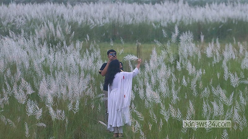 ঢাকার দক্ষিণ কেরাণীগঞ্জের সারিঘাটে কাশবনে বেড়াতে এসে