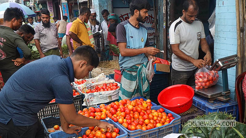 রাজধানীর শ্যামবাজারে আমদানি করা টমেটো পাইকারি দরে কেনেন বিভিন্ন এলাকার ব্যবসায়ীরা