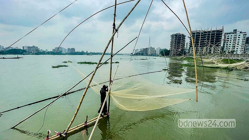 বুড়িগঙ্গা নদীর পানি এখন অনেকটা স্বাভাবিক রূপে ফিরেছে। জাল ফেলছে মিলছে মাছও। ফলে নদীতে প্রতিদিন জাল পাতছেন জেলেরা