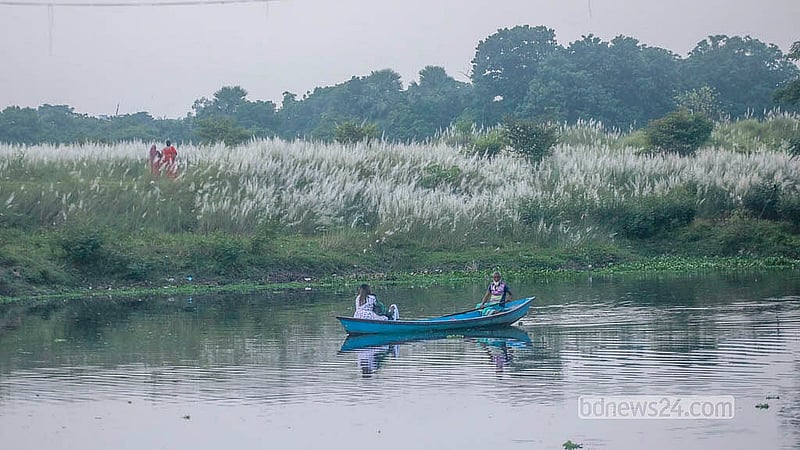 ঢাকার দক্ষিণ কেরাণীগঞ্জের সারিঘাটে নৌকায় চড়ে কাশফুলের সৌন্দর্য উপভোগ করেন অনেকে