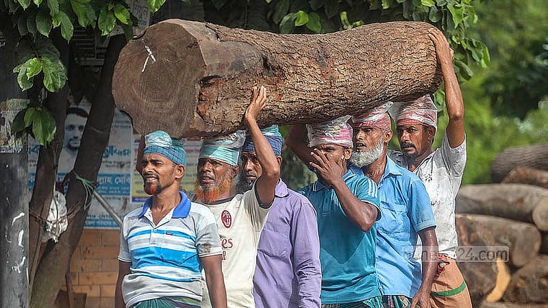 নৌপথে দেশের বিভিন্ন এলাকা থেকে ট্রলারে করে আনা গাছের গুঁড়ি পুরান ঢাকার ফরাশগঞ্জের ঘাটে নামানো হয়। সেখান থেকে একটি গুঁড়ি নিয়ে যাওয়া হচ্ছে স-মিলে