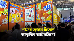 গাজর ও ফ্রাইড চিকেন আকৃতির আইসক্রিম নিয়ে মাতামাতি