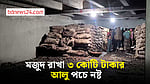 মাদারীপুরে বেশি মুনাফার আশায় মজুদ, পচে নষ্ট ৩ কোটি টাকার আলু