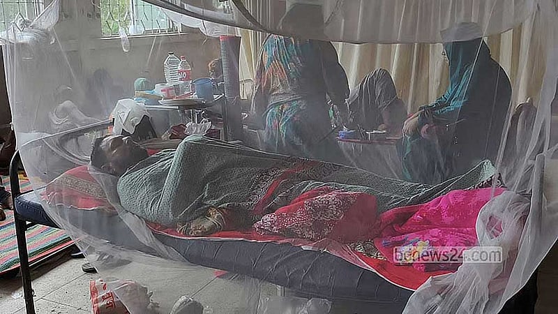 ডেঙ্গু নিয়ে হাসপাতালে ভর্তি ৭৪৭